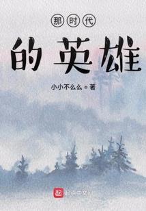 我是英雄之铁血丹心