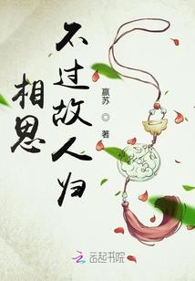 码字键盘侠