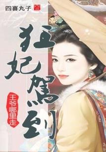 飞雪藏剑