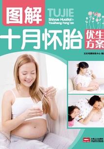 布比环游记