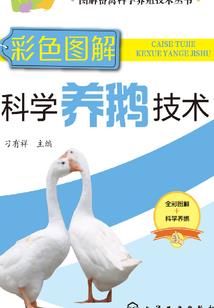 穿越丛林