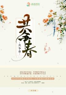 美人的诱惑
