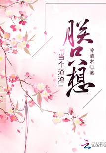艺术家三