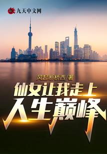 皇极御灵传