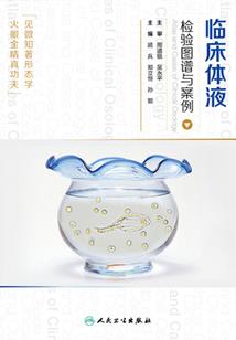 从娶妻开始，成就全能法师