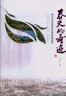 重生之IP之王