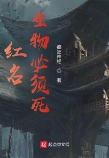 我的导演老婆