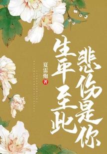 日渐崩坏的穿越者们
