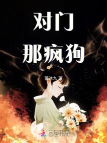 我的九段女友1