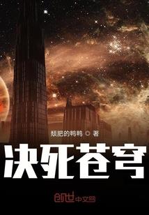 王爷还我宁静