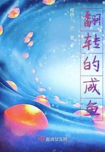 倾他城之凤凰逆天