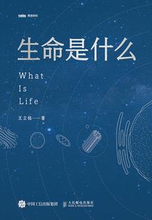 打怪升级当魔妃