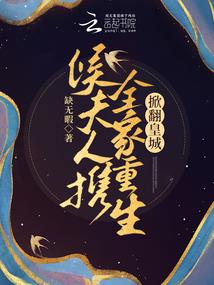 守护甜心之千面公主