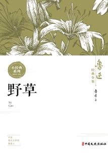 重生之浴血特工