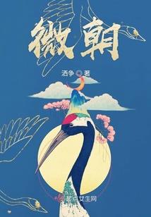 圣灵传说之龙魂苍穹