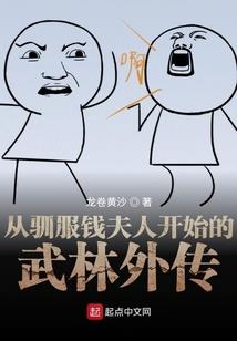 飞龙对火凤