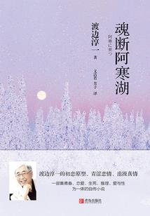 灰色的声音