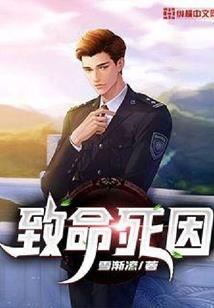 宝可梦的时代