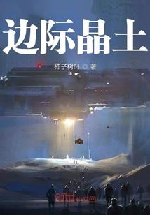 碎梦纷飞
