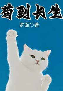 我的老公秦霄贤