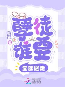 猎帅行动