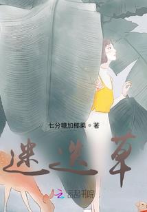 月笼浮梦印芳华