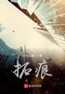凤夙九天决