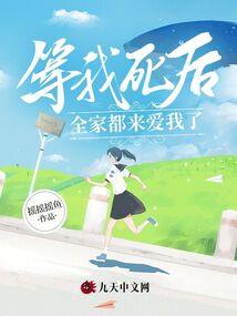 全虚拟外壳