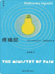 傻子王爷的一品王妃