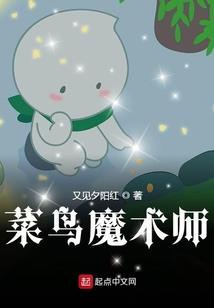 倾世琼华