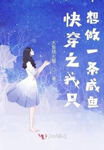 超高品质系统