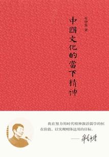 男孩被冰封的心之传奇人生