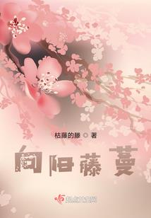从良公子傻金枝