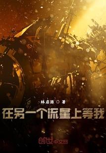 转世雷帝