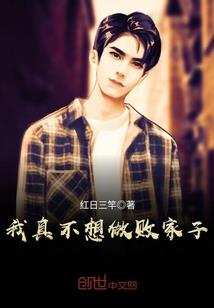 一条咸鱼的职业生涯