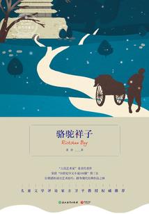爱情回忆：温柔校草拽丫头