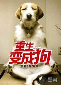 武道侠情录