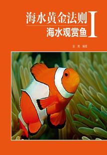 施舍温柔