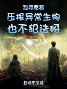 夏暮天启
