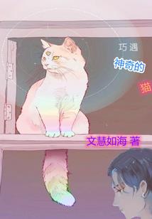 圣元灵纪