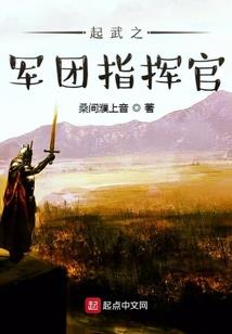 烽火重生之风流少帅