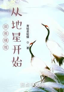 幽影孤鸿