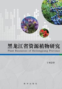 宇宙之外的异世界