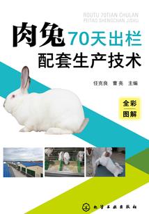 冒险公会的服务生