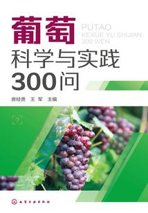 异世玄圣