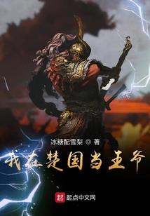 穿越开封之流雨传奇