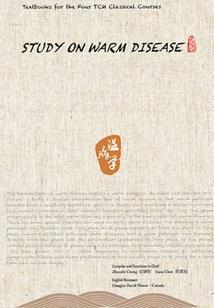 迷梦仙踪