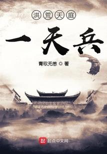 宠物小精灵之空零