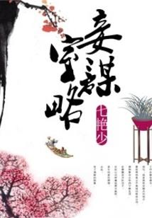血梅传奇