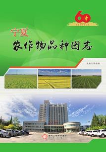 傲世九轮回